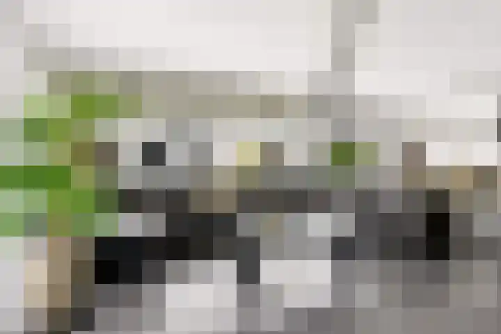 Portugalkade 9 Almere thumbnail 18