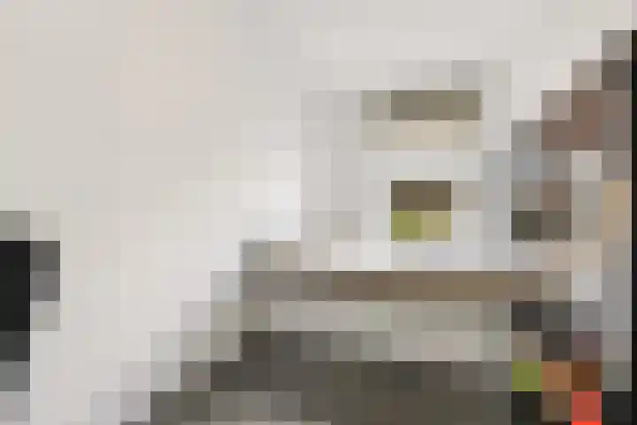 Portugalkade 9 Almere thumbnail 29
