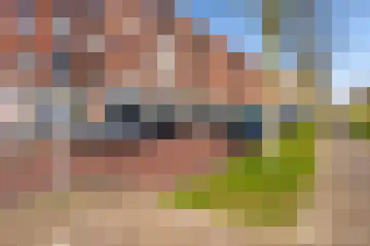Portugalkade 9 Almere thumbnail 41