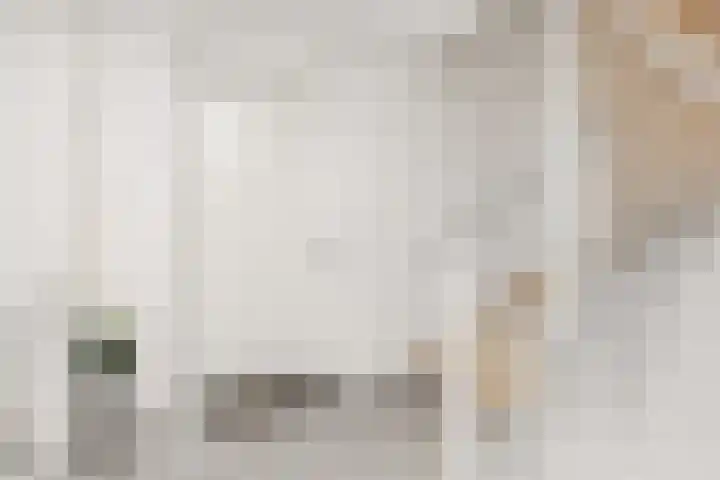 Portugalkade 9 Almere thumbnail 6