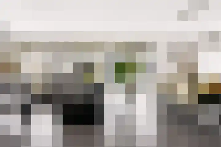 Portugalkade 9 Almere thumbnail 8