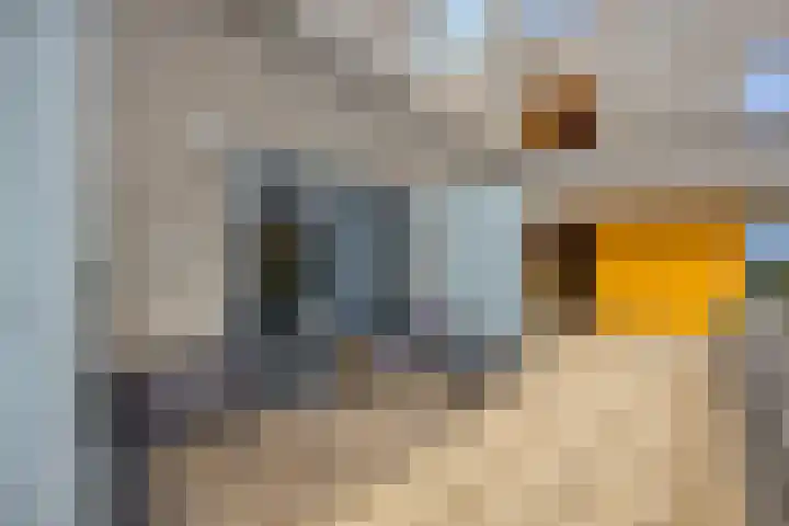 Poseidonsingel 25 Almere foto 3