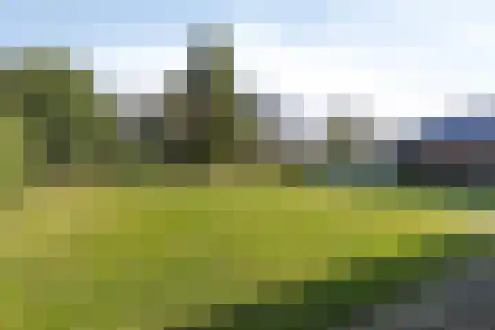 Postbaan 18 Haelen thumbnail 39