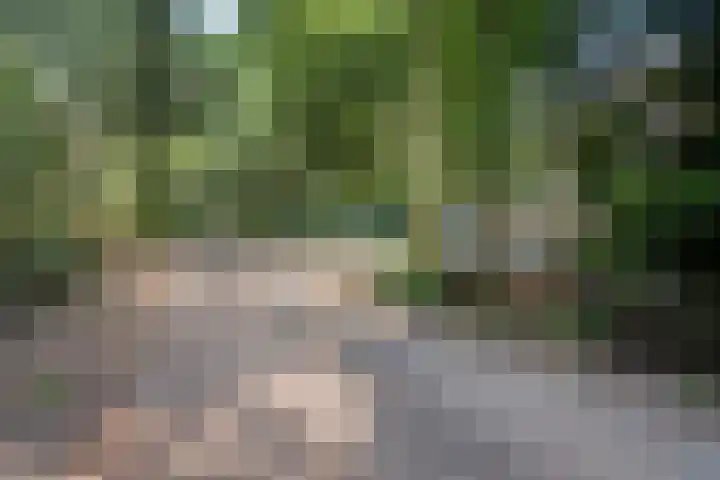 Postbaan 25 Rucphen thumbnail 106