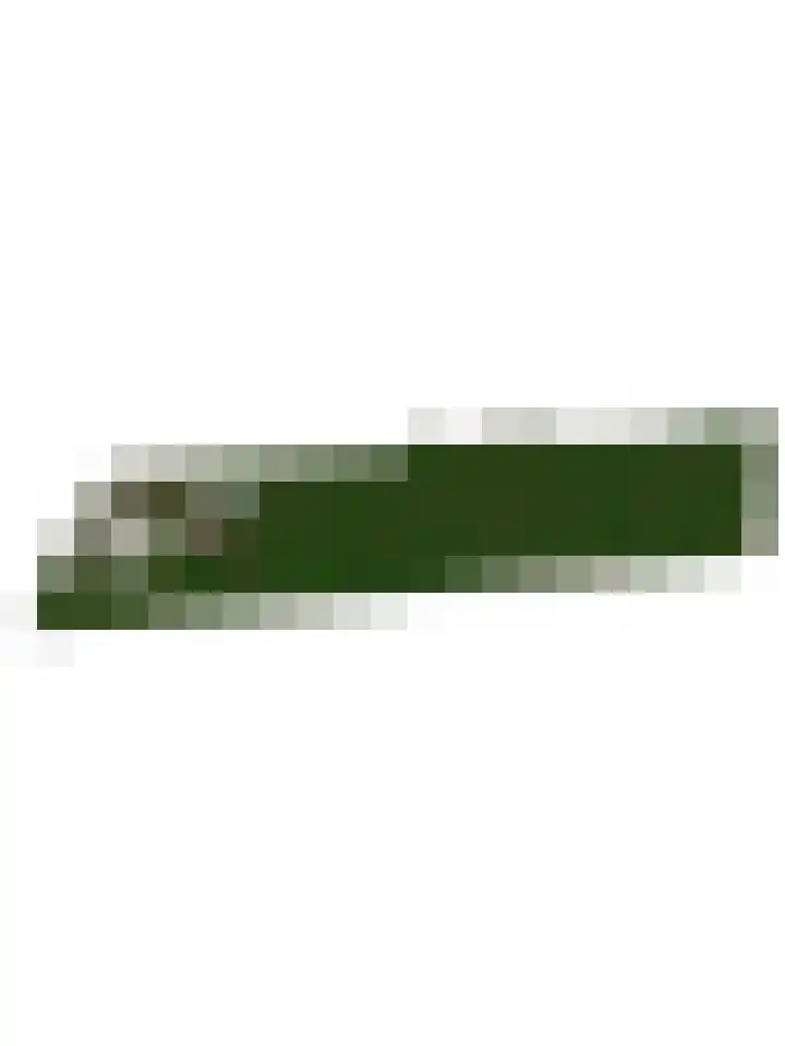 Postbaan 25 Rucphen thumbnail 108
