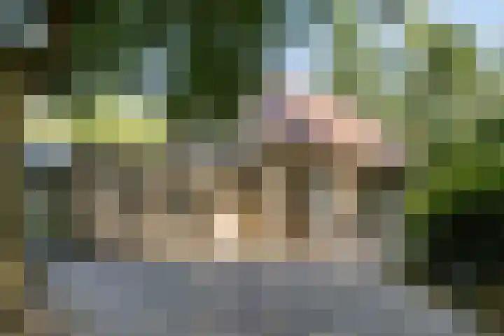 Postbaan 25 Rucphen thumbnail 115