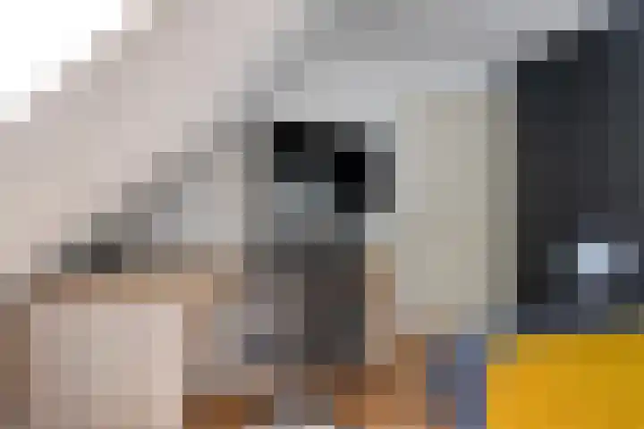 Postbaan 25 Rucphen thumbnail 28