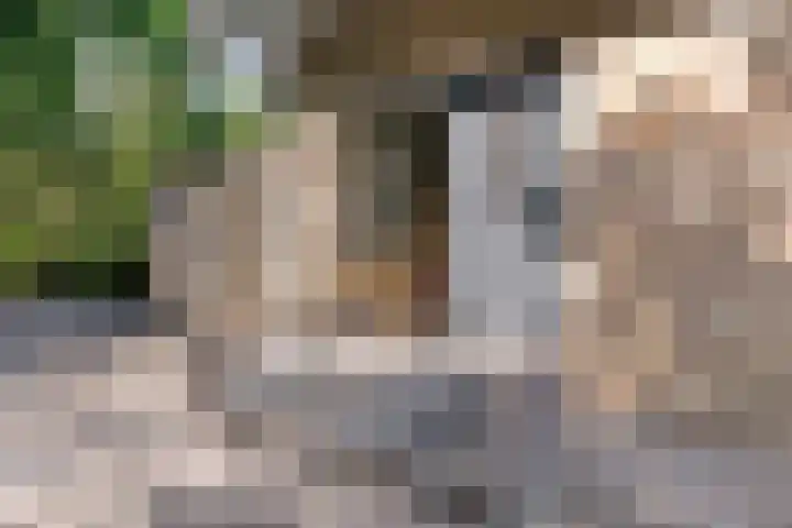 Postbaan 25 Rucphen thumbnail 4