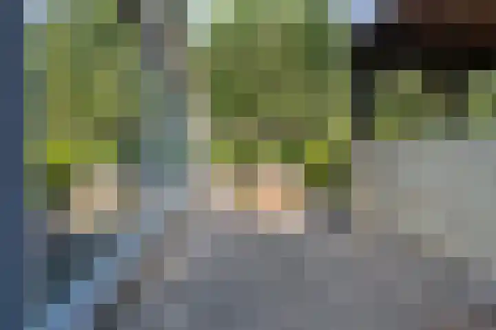 Postbaan 25 Rucphen thumbnail 40