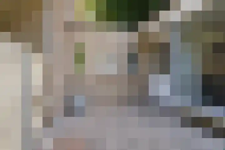 Postbaan 25 Rucphen thumbnail 41
