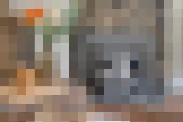 Postbaan 25 Rucphen thumbnail 47
