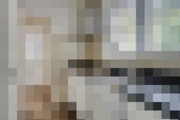 Postbaan 25 Rucphen thumbnail 53