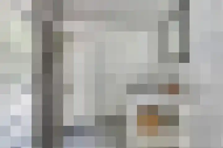 Postbaan 25 Rucphen thumbnail 63