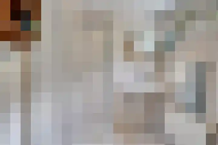 Postbaan 25 Rucphen thumbnail 70