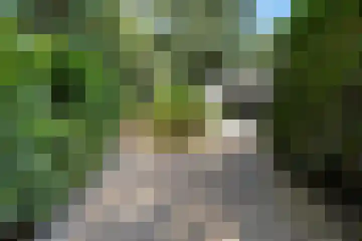 Postbaan 25 Rucphen thumbnail 73
