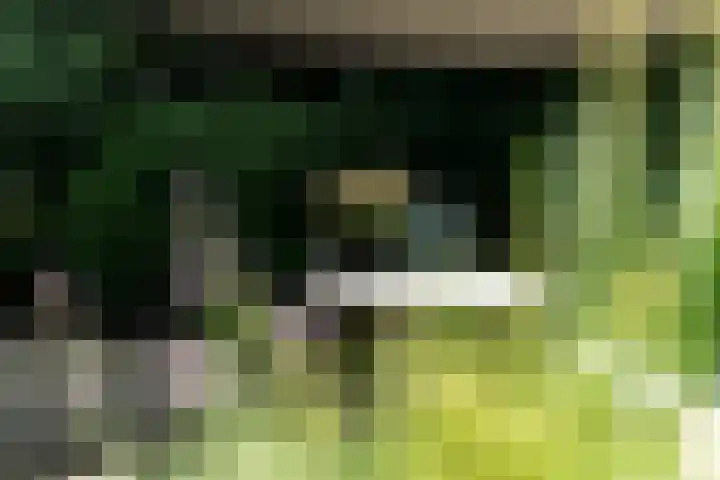 Postbaan 25 Rucphen thumbnail 75