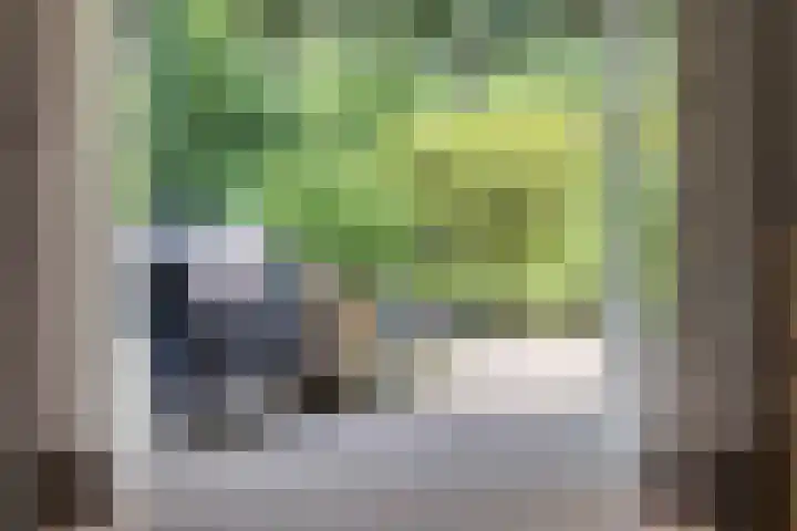 Postbaan 25 Rucphen thumbnail 79