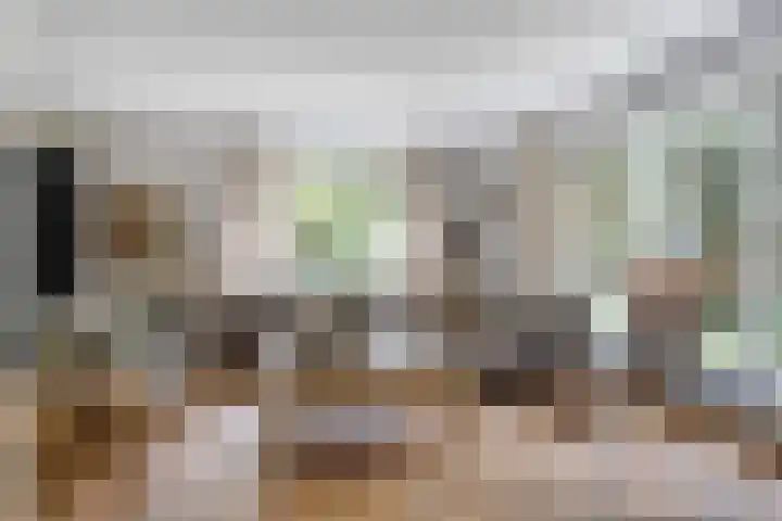 Postbaan 25 Rucphen thumbnail 8