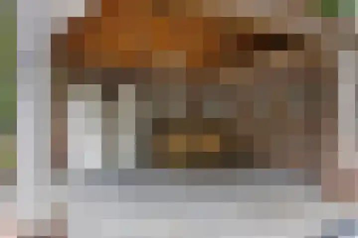 Postbaan 25 Rucphen thumbnail 80