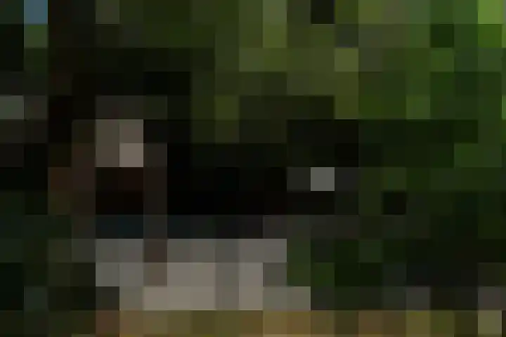 Postbaan 25 Rucphen thumbnail 81