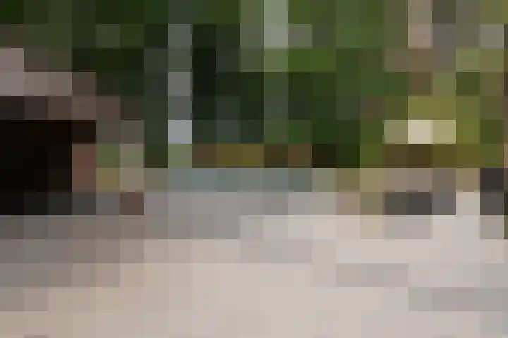 Postbaan 25 Rucphen thumbnail 82