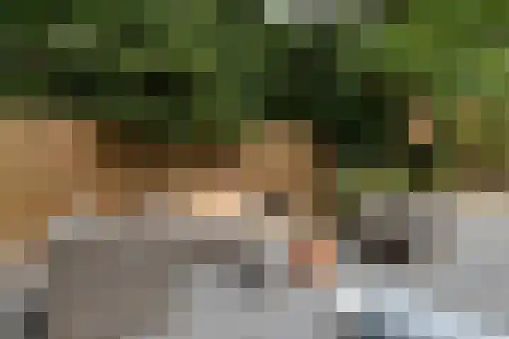 Postbaan 25 Rucphen thumbnail 88