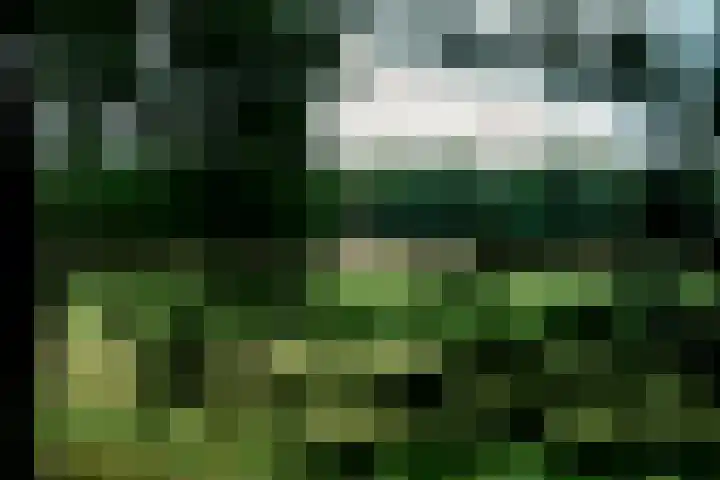 Postbaan 25 Rucphen thumbnail 89