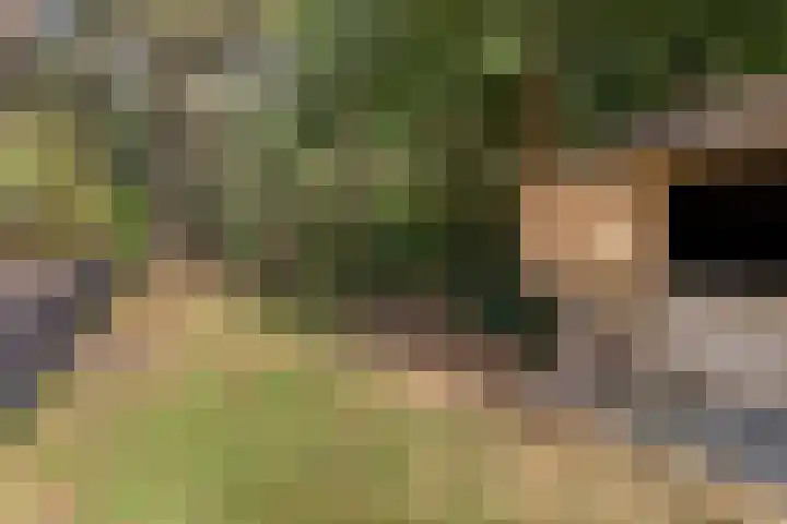 Postbaan 25 Rucphen thumbnail 94