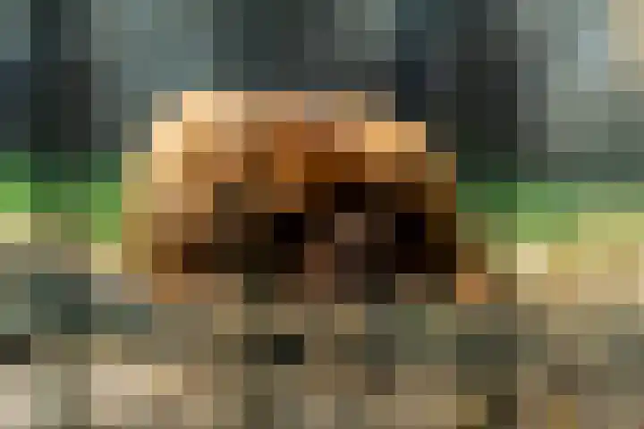 Postbaan 25 Rucphen thumbnail 95