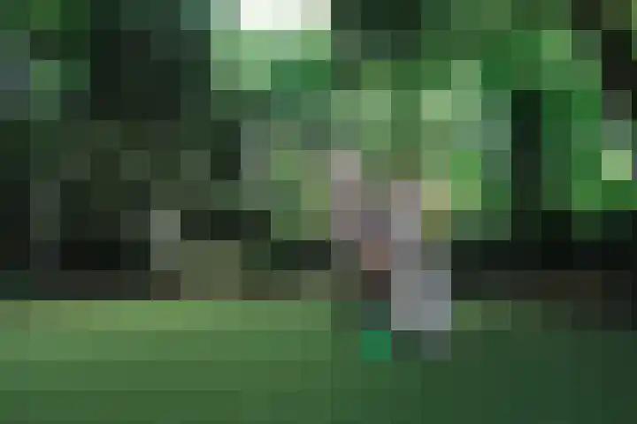 Postbaan 25 Rucphen thumbnail 98