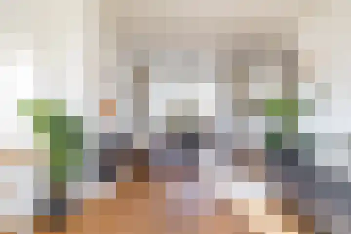 Postcodekaart voor 1033