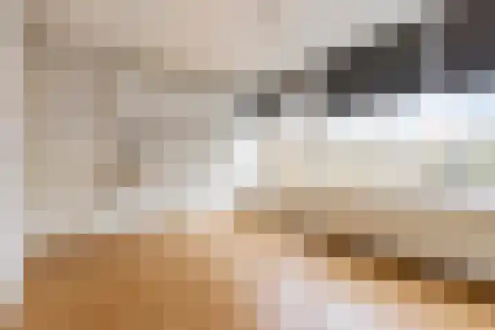 Postcodekaart voor 1319