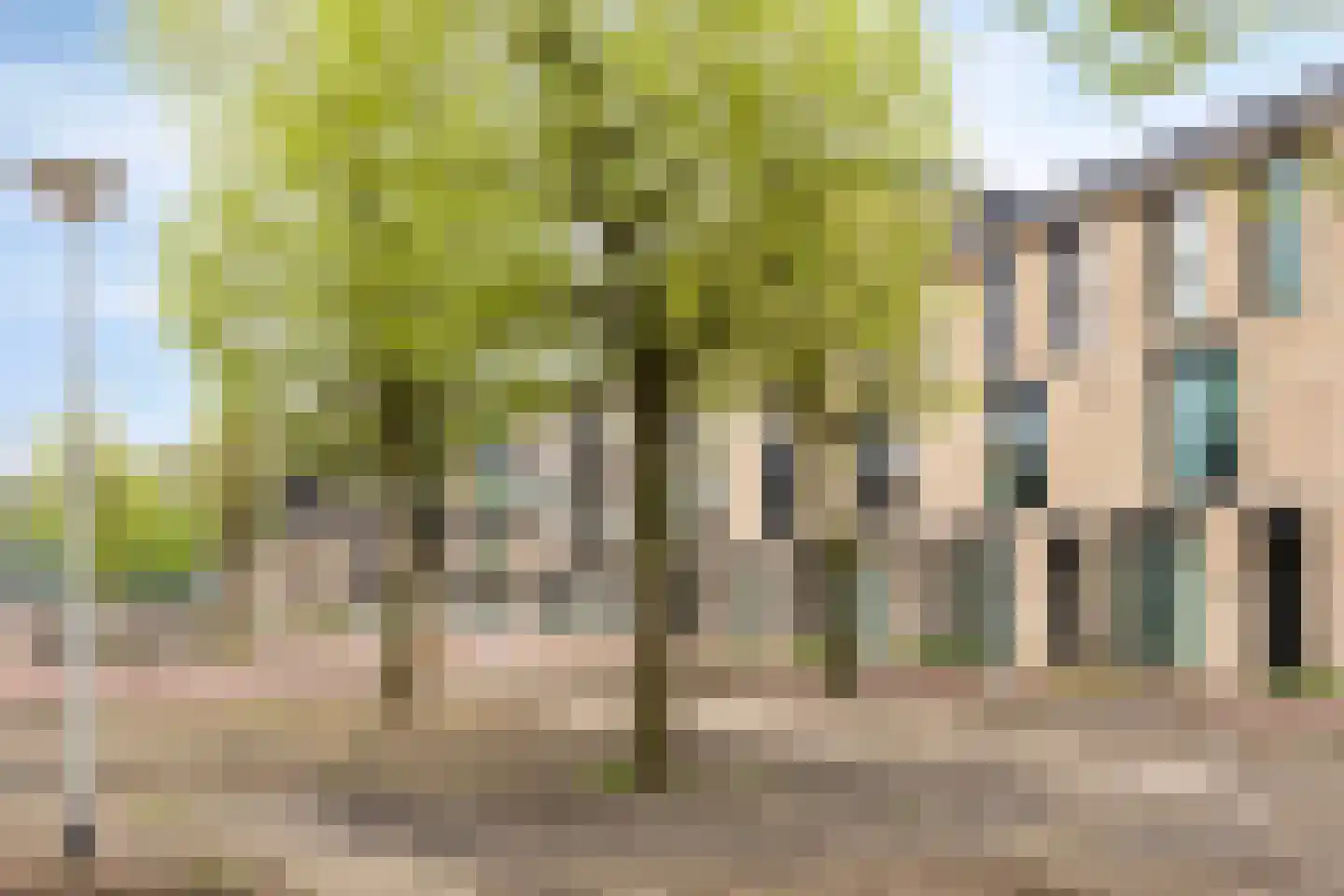 Carte postale pour 1405