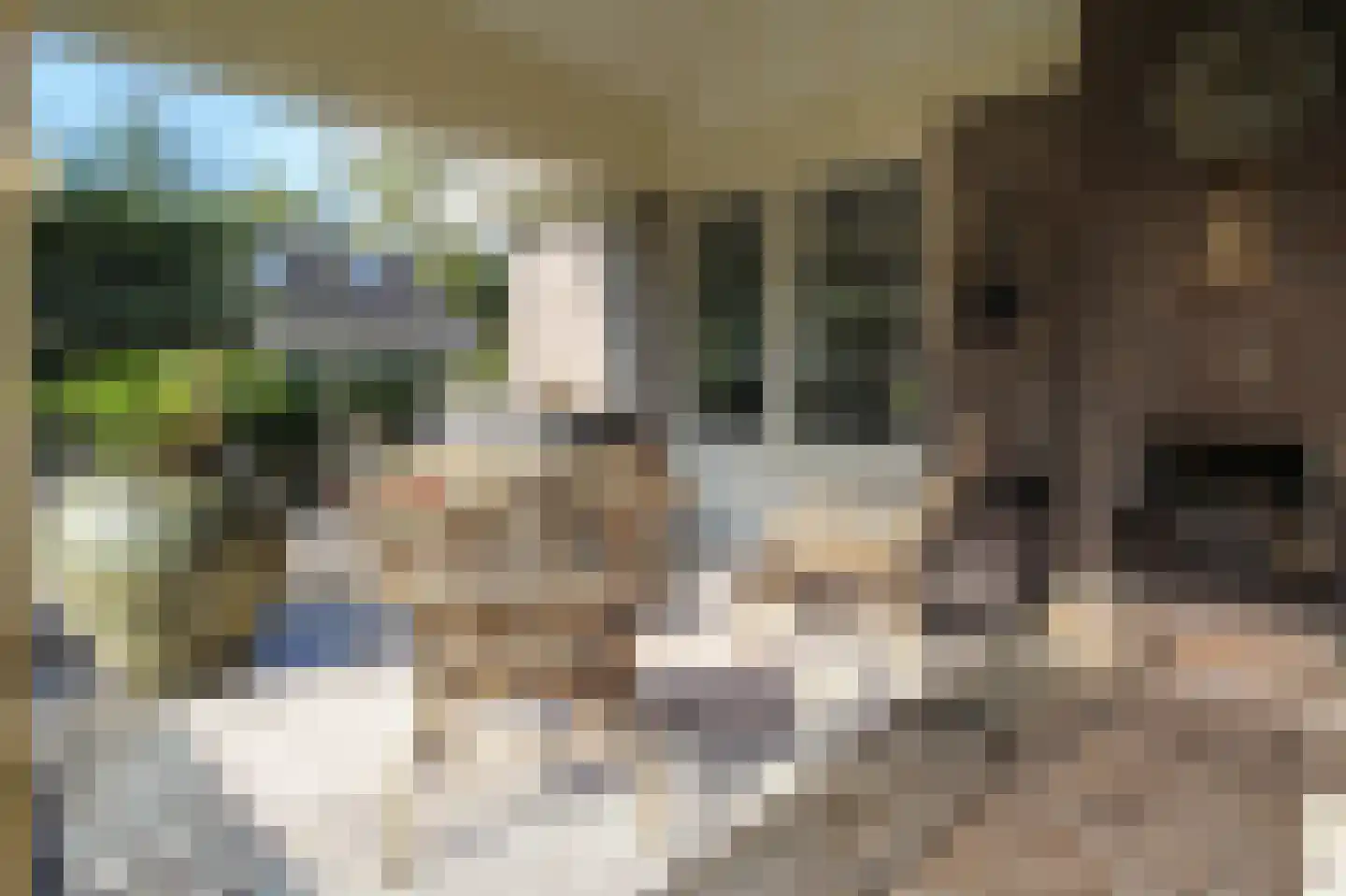 Postcodekaart voor 4818