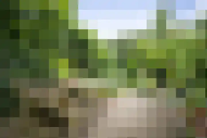 Postcodekaart voor 5301