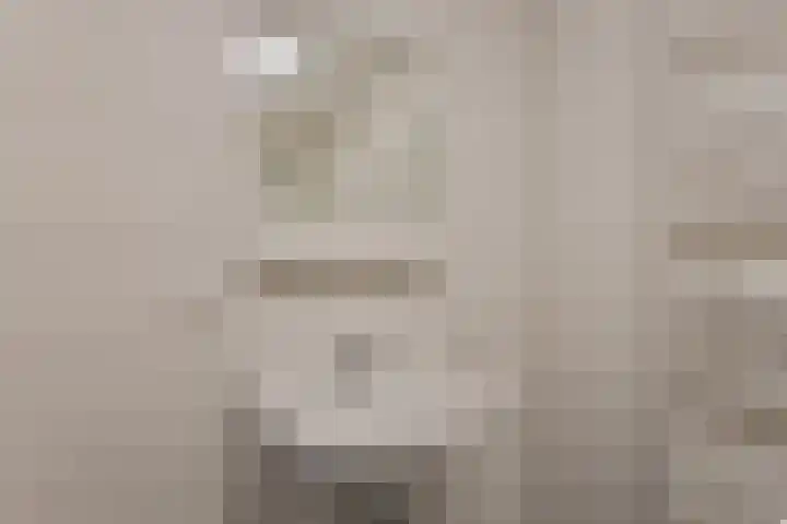 Postcodekaart voor 5305