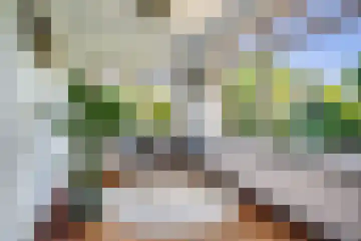 Postcodekaart voor 5623