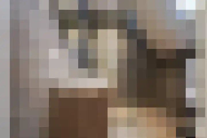 Postcodekaart voor 7604