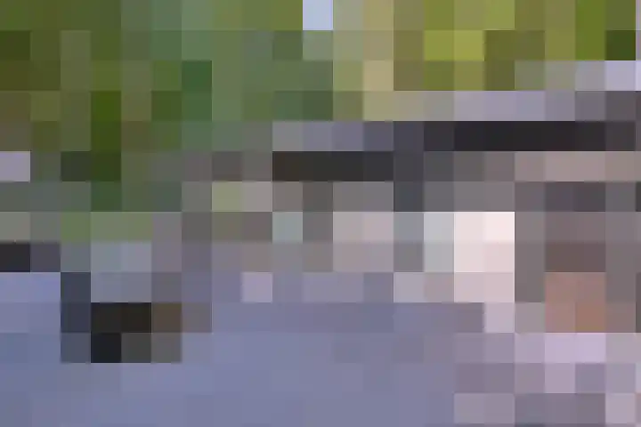 Postcodekaart voor 7887