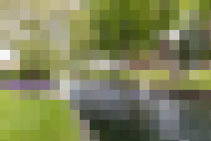 Postcodekaart voor 8016