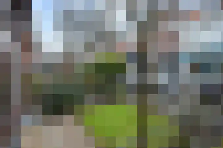 Postcodekaart voor 8439