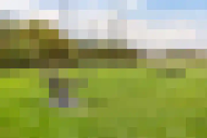 Postel 38 Someren thumbnail 23