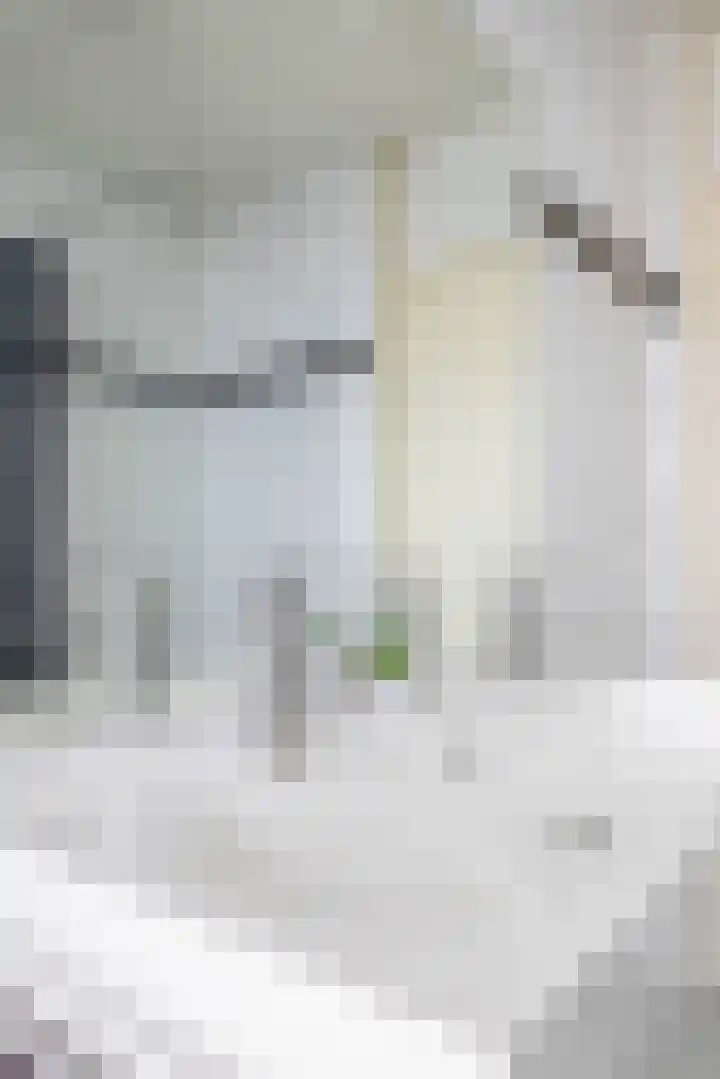 Postel 38 Someren thumbnail 37