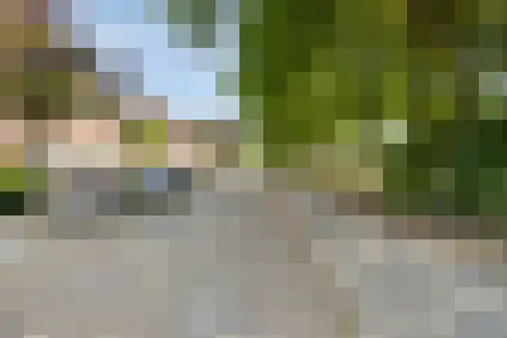 Postelein 20 Diessen thumbnail 11