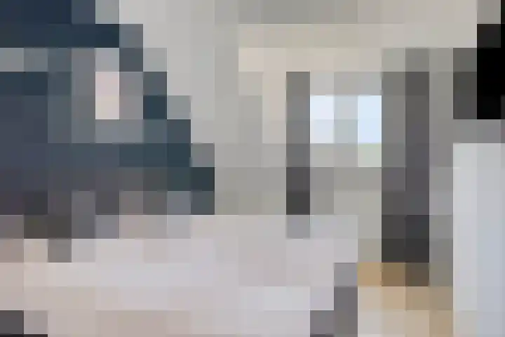 Postelein 20 Diessen thumbnail 17