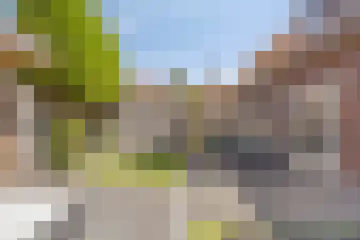 Postelein 20 Diessen thumbnail 29