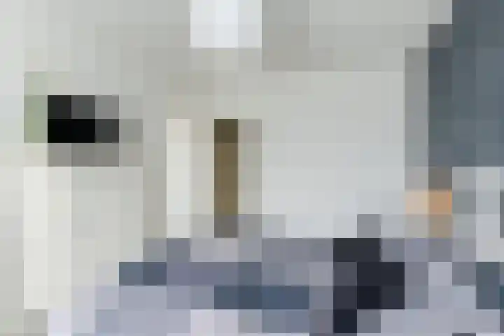 Postelse Hoeflaan 101 Tilburg thumbnail 17