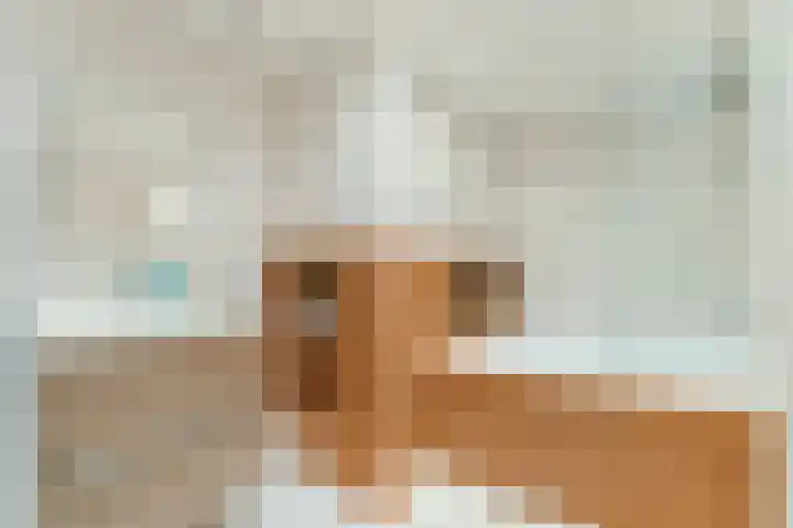 Postelse Hoeflaan 101 Tilburg thumbnail 23