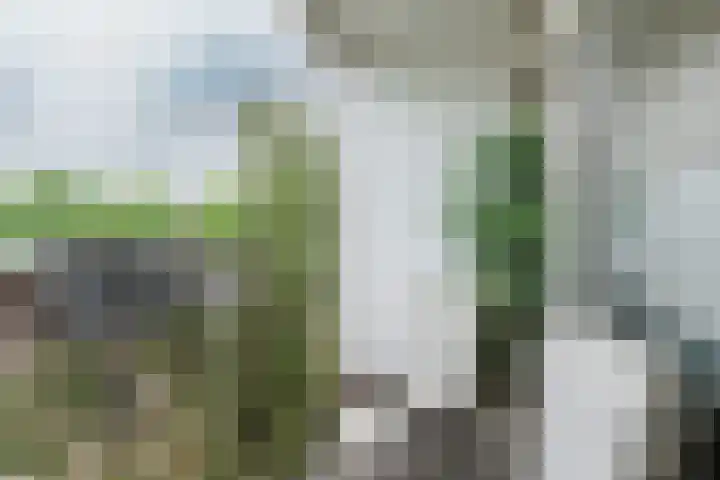 Postelse Hoeflaan 101 Tilburg thumbnail 25