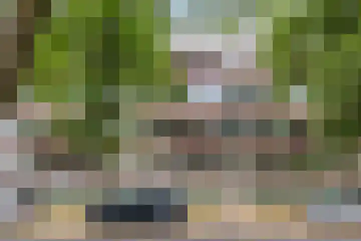 Postelse Hoeflaan 101 Tilburg thumbnail 27